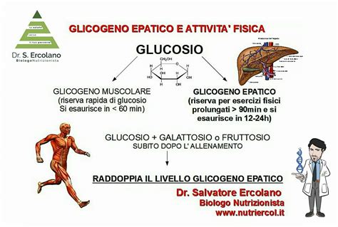 grafico che illustra le riserve di glicogeno muscolare e il loro esaurimento durante l'esercizio fisico