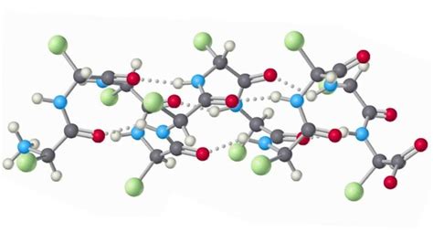 Schema molecolare della Cheratina Vegana e suoi componenti principali
