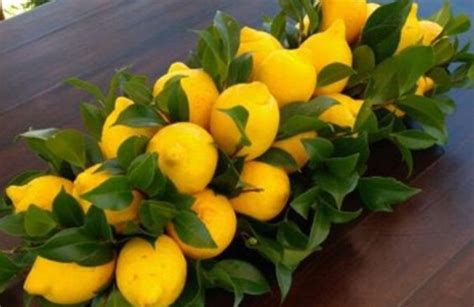 centrotavola nuziale con limoni, fiori e rami di ulivo
