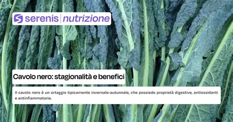 Illustrazione botanica del cavolo nero con le sue caratteristiche foglie scure e allungate.