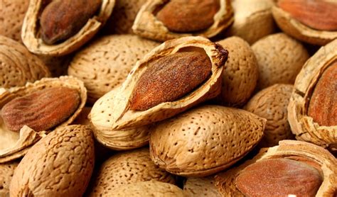 Varietà di mandorle siciliane