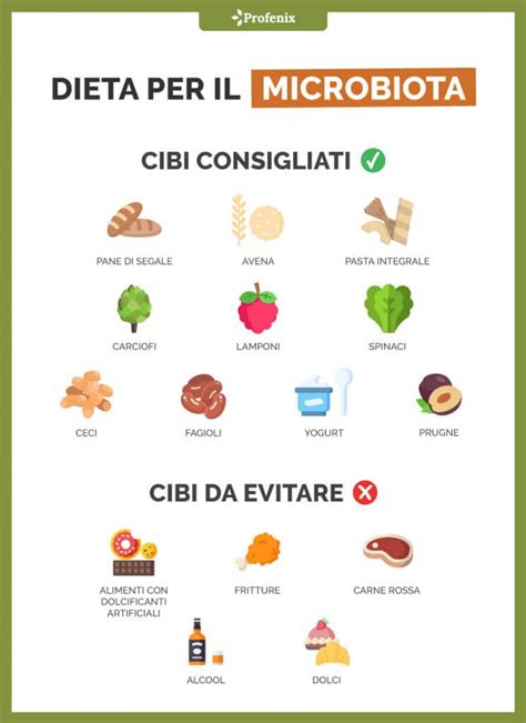 Grafico che illustra la correlazione tra dieta, microbiota intestinale e accumulo di grasso addominale.