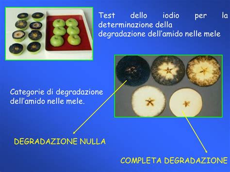 illustrazione del test dello iodio sulle fette di mela per valutare la maturazione