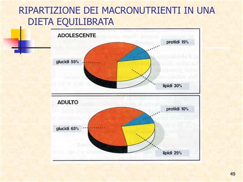 Infografica sulla ripartizione dei macronutrienti in una dieta bilanciata