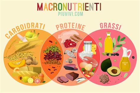 Schema che illustra i diversi coefficienti di calcolo per i macronutrienti in base al peso corporeo