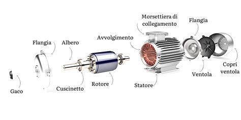 Schema di un carotiere a gravità e sue componenti principali