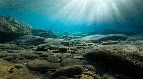 Esempio di carota geologica di sedimento marino con stratigrafia visibile