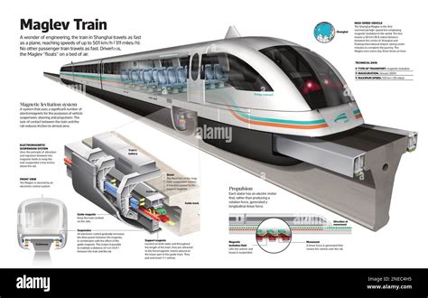 Schema di un treno Maglev che levita sui binari