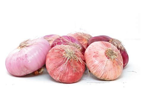 cipolla di Acquaviva delle Fonti, forma e colore