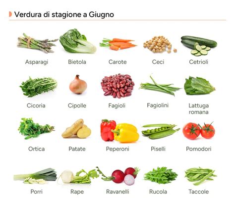 selezione di verdure fresche di stagione