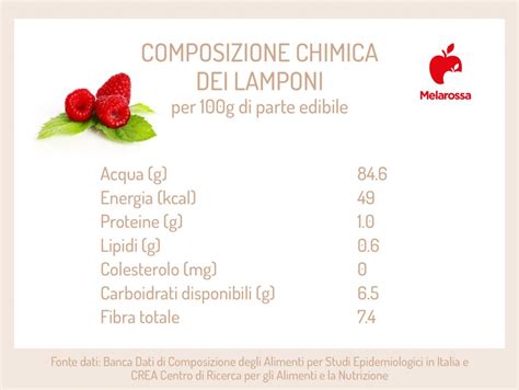Illustrazione dei benefici nutrizionali dei lamponi