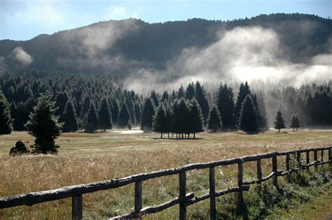 Antica casera in pietra immersa nel verde del bosco del Cansiglio