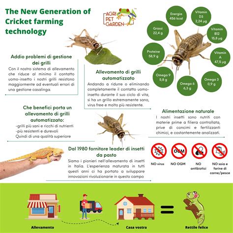 infografica che confronta l'impatto ambientale dell'allevamento di insetti rispetto a quello di bovini e suini
