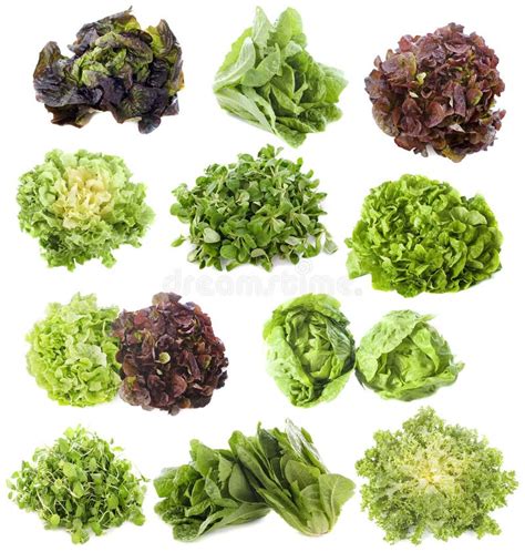 varietà di insalate fresche pronte per essere condite