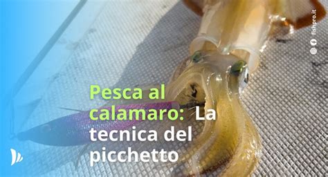 Primo piano di una piccola lampada LED per la pesca dei calamari, mostrata in mano per dare un'idea delle dimensioni.