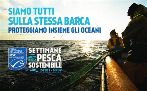 Infografica che illustra i principi della pesca sostenibile e i benefici dell'acquacoltura responsabile.