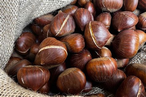 Schema che illustra i diversi metodi per ammorbidire la buccia delle castagne prima della sbucciatura