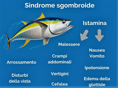 Schema che illustra la formazione di istamina nel pesce e i sintomi della sindrome sgombroide.