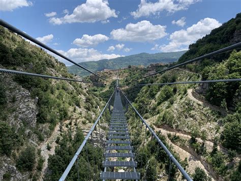 Ponte tibetano in un parco avventura tra gli alberi con vista sulle montagne
