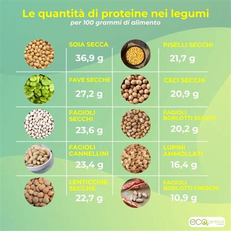 Infografica sui benefici dei legumi per cani: fibre, proteine, ferro, vitamine.