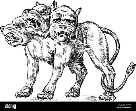 Illustrazione del Cerbero nella sua forma animale, un cane a tre teste con dettagli aggressivi come denti aguzzi e lingue lunghe.