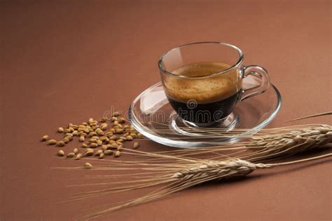 Immagine di una tazza di orzo solubile fumante, accompagnata da biscotti secchi e una spolverata di cannella.