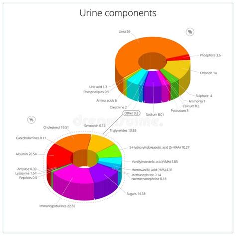 Infografica che illustra la composizione chimica dell'urina e come i componenti di Royal Canin Urinary S/O influenzano la sua stabilità.