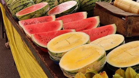 Diverse varietà di anguria, con differenti forme e colori della buccia