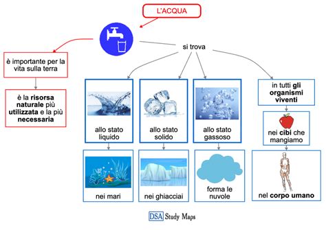 Schema che illustra la composizione chimica dell'anguria, evidenziando acqua, zuccheri, vitamine e minerali