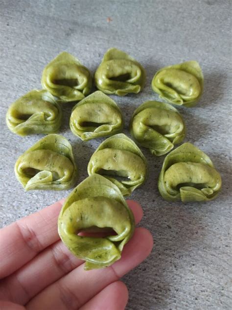 Preparazione della pasta fresca per i tortellini verdi