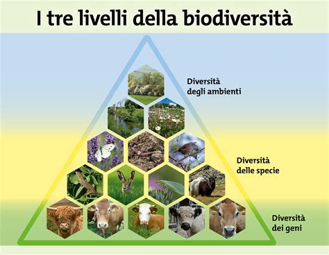 Analisi di pollini fossili per ricostruire la biodiversità vegetale nel tempo