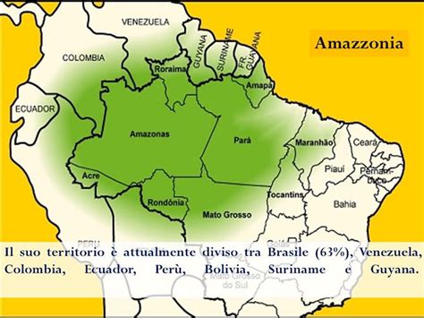 Mappa dell'Amazzonia con indicati i luoghi delle attività di Manzi