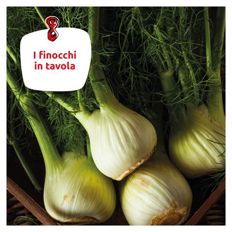 Schema nutrizionale del finocchio, evidenziando vitamine, minerali e antiossidanti.