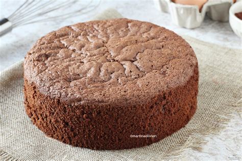 Pan di spagna al cacao appena sfornato