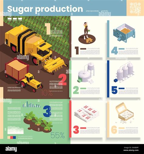Infografica che illustra le fasi di produzione dell'amaretto