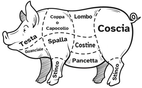 Schema che illustra i tagli nobili di carne di maiale utilizzati nella produzione del Salame Cacciatore