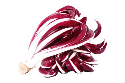 Immagine di radicchio fresco tagliato a listarelle