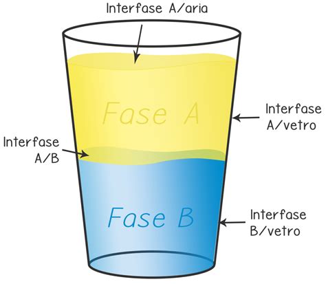 Schema che illustra la separazione tra fase acquosa e fase grassa in un'emulsione