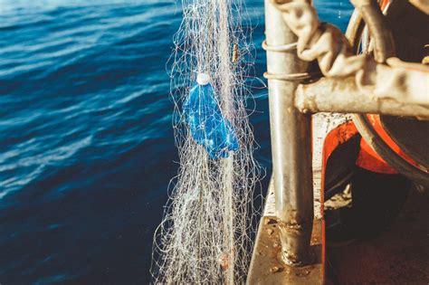 Pescatori impegnati nella raccolta dei rifiuti dal mare