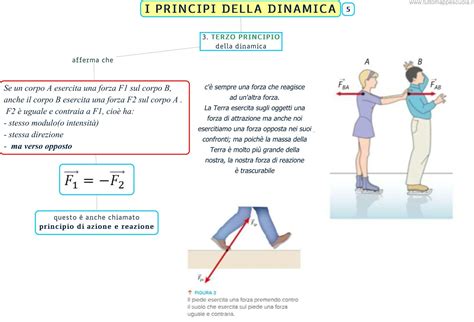 Infografica sui principi della complementarità proteica