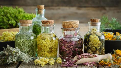 Immagine di una selezione di tisane sfuse, erbe officinali e cosmetici naturali all'interno dell'erboristeria.