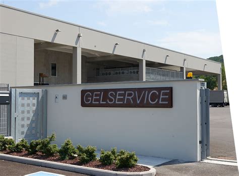 Logo Gelservice