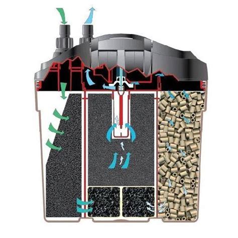 Illustrazione che mostra il funzionamento di un filtro per acquario sicuro per gamberetti, evidenziando le fessure protette.