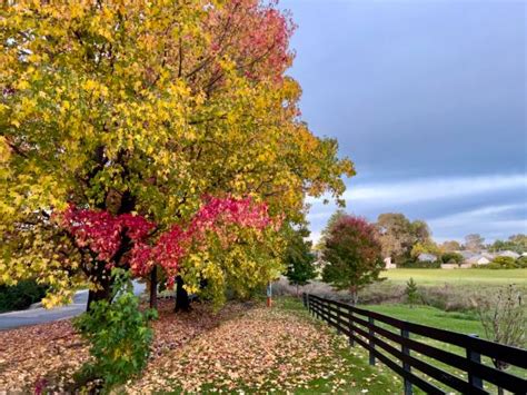 Paesaggio autunnale del New England con foglie dai colori vivaci e una fattoria tradizionale