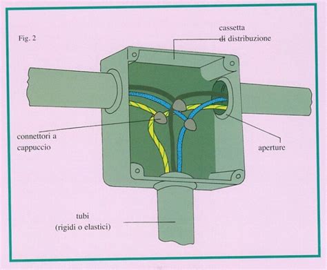 Illustrazione delle tre forme di un utilizzatore di Frutto Zoo-Zoo