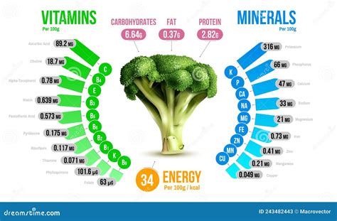 infografica sui nutrienti presenti nei broccoli