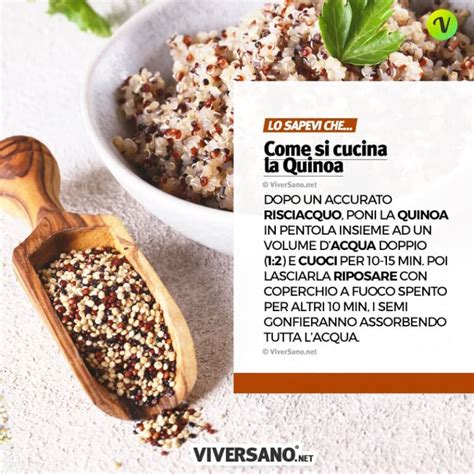 Infografica sui benefici nutrizionali della quinoa