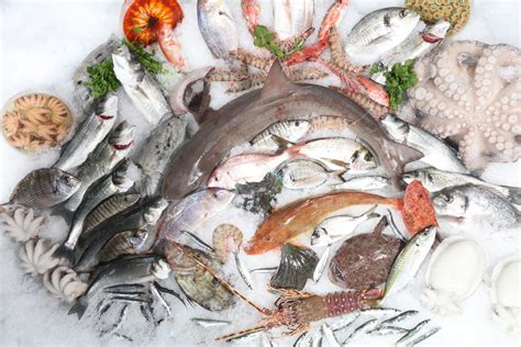 Illustrazione che mostra le operazioni consentite sui prodotti della pesca nelle aree pubbliche (decapitazione, eviscerazione, sfilettatura) e le aree dedicate alla cottura.