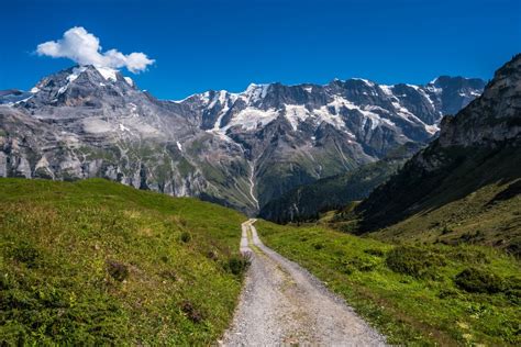 Sentiero di montagna con segnaletica S1, che attraversa un bosco in Val Taleggio.