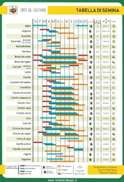 Schema con le distanze di impianto consigliate per gli asparagi.